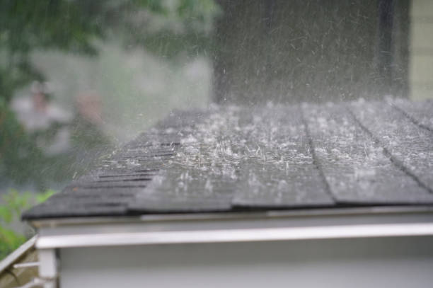 Best Roof Maintenance and Cleaning  in Rockland, ME